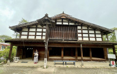 IMG_2838.jpeg