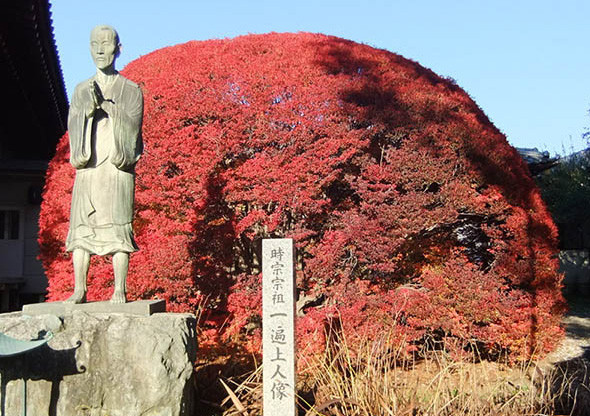 秋になると、いちょうの黄、もみじ、どうだんつつじの赤、柿のだいだい色がさえわたり