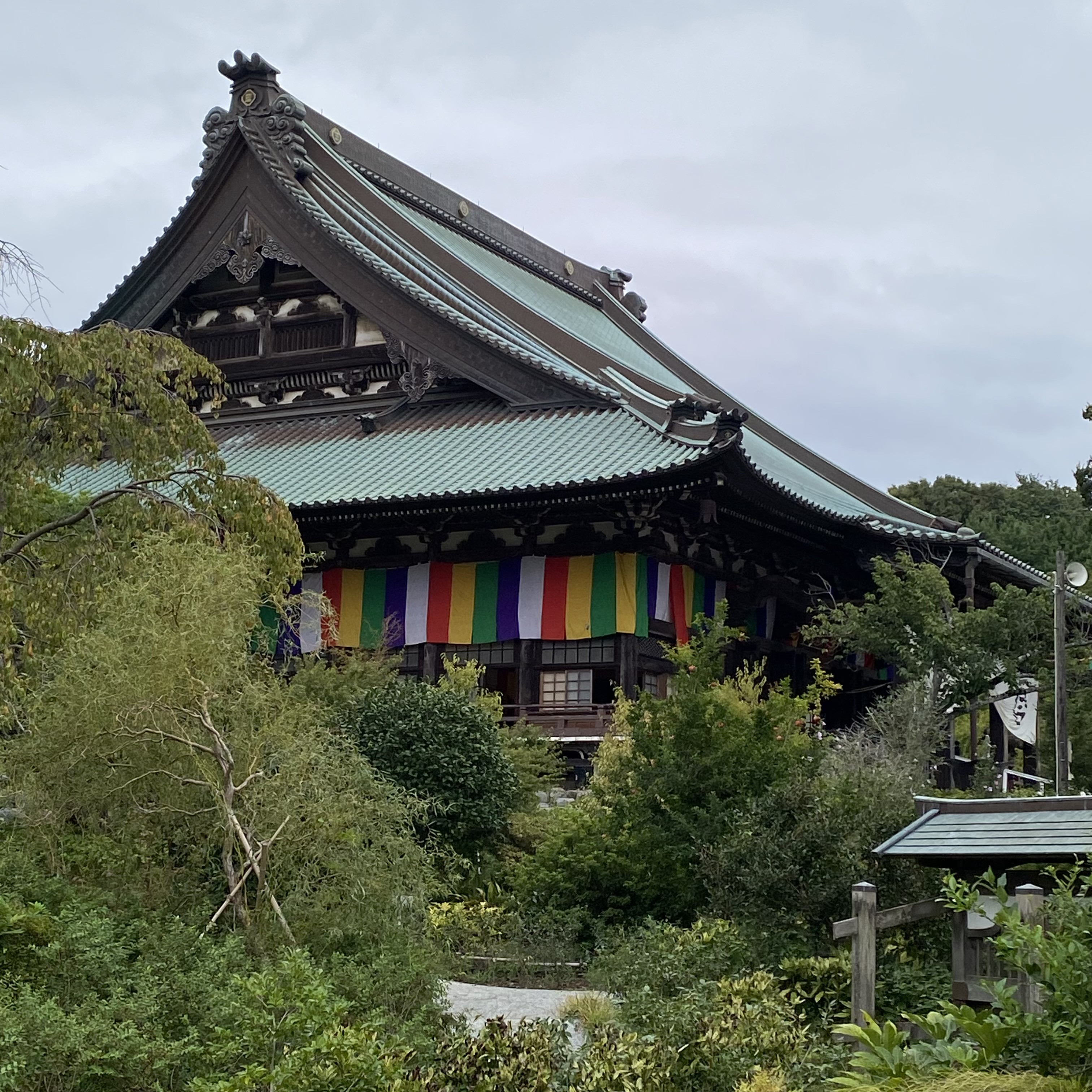 IMG_3751.jpeg