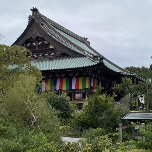 IMG_3751.jpeg