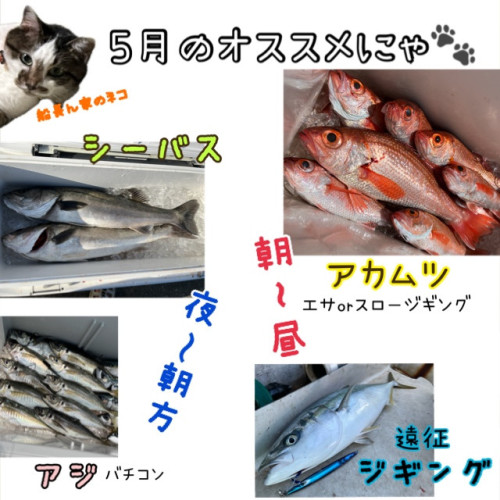 IMG_4994.jpeg