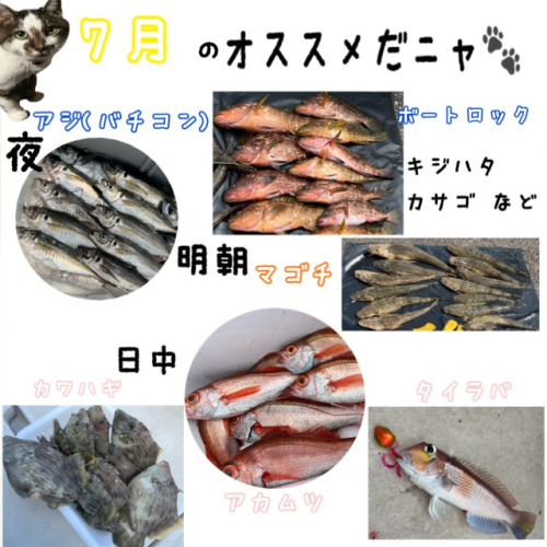 IMG_6347.jpeg