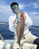 IMG_7237.jpeg