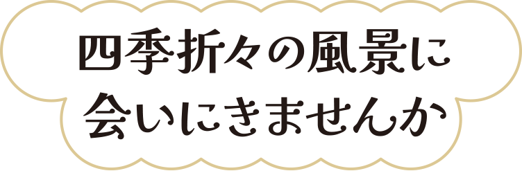 四季折々の風景に会いにきませんか