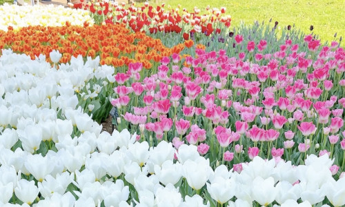 F020AE35-809F-4731-B5AB-ED6CF66AA3ED.jpeg