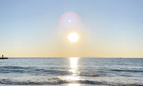 2FAEC0EA-A9FE-4FD8-B567-C5EC252845AE.jpeg