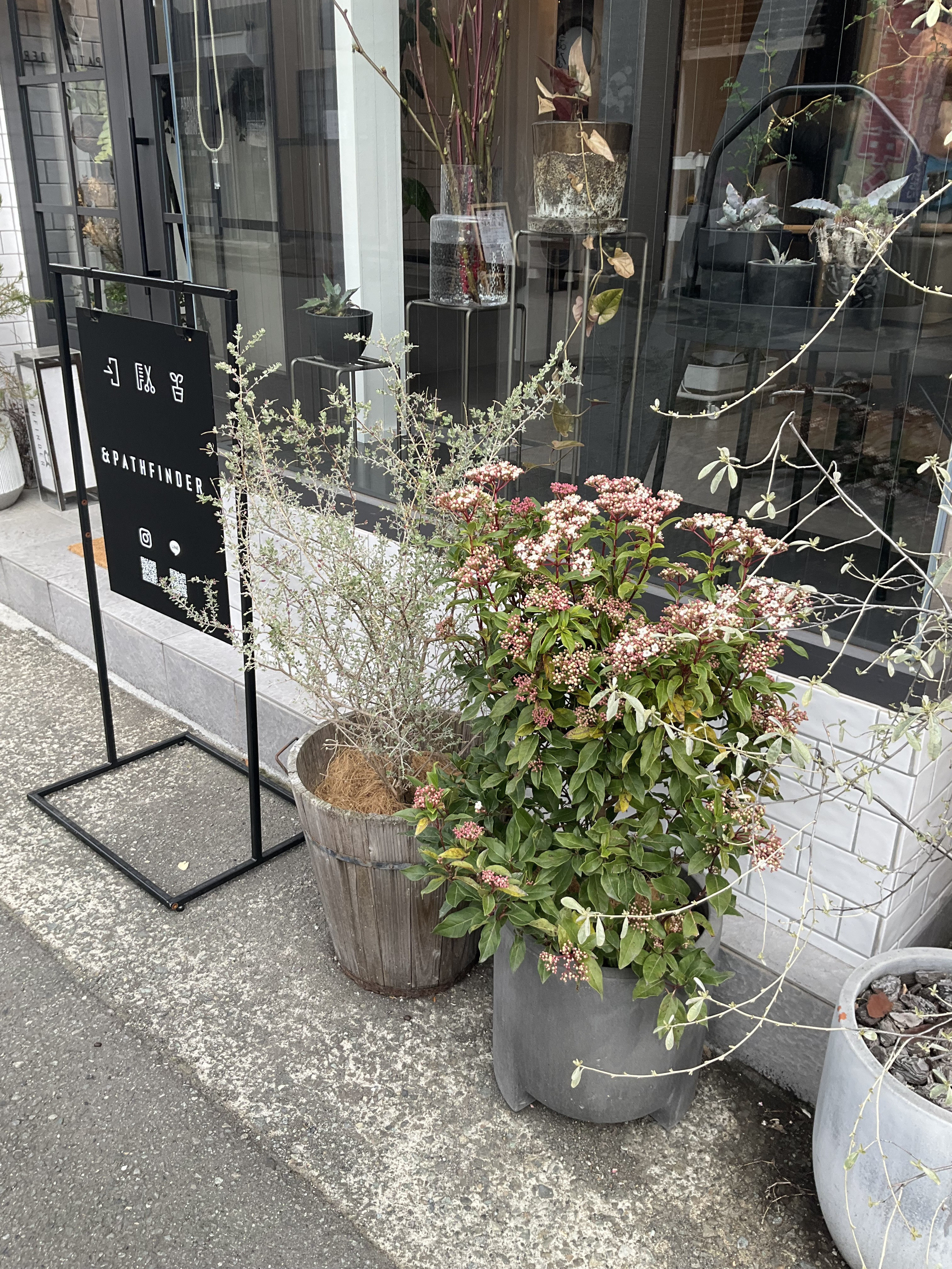 暖かくなってきましたね！