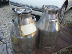 P1280331.JPG