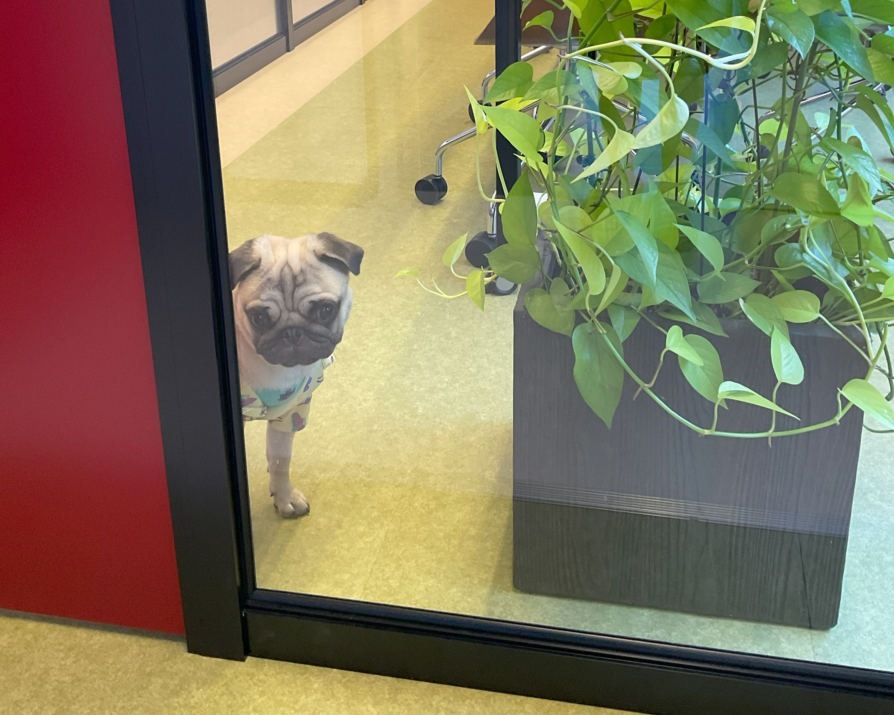 スタッフ募集中！