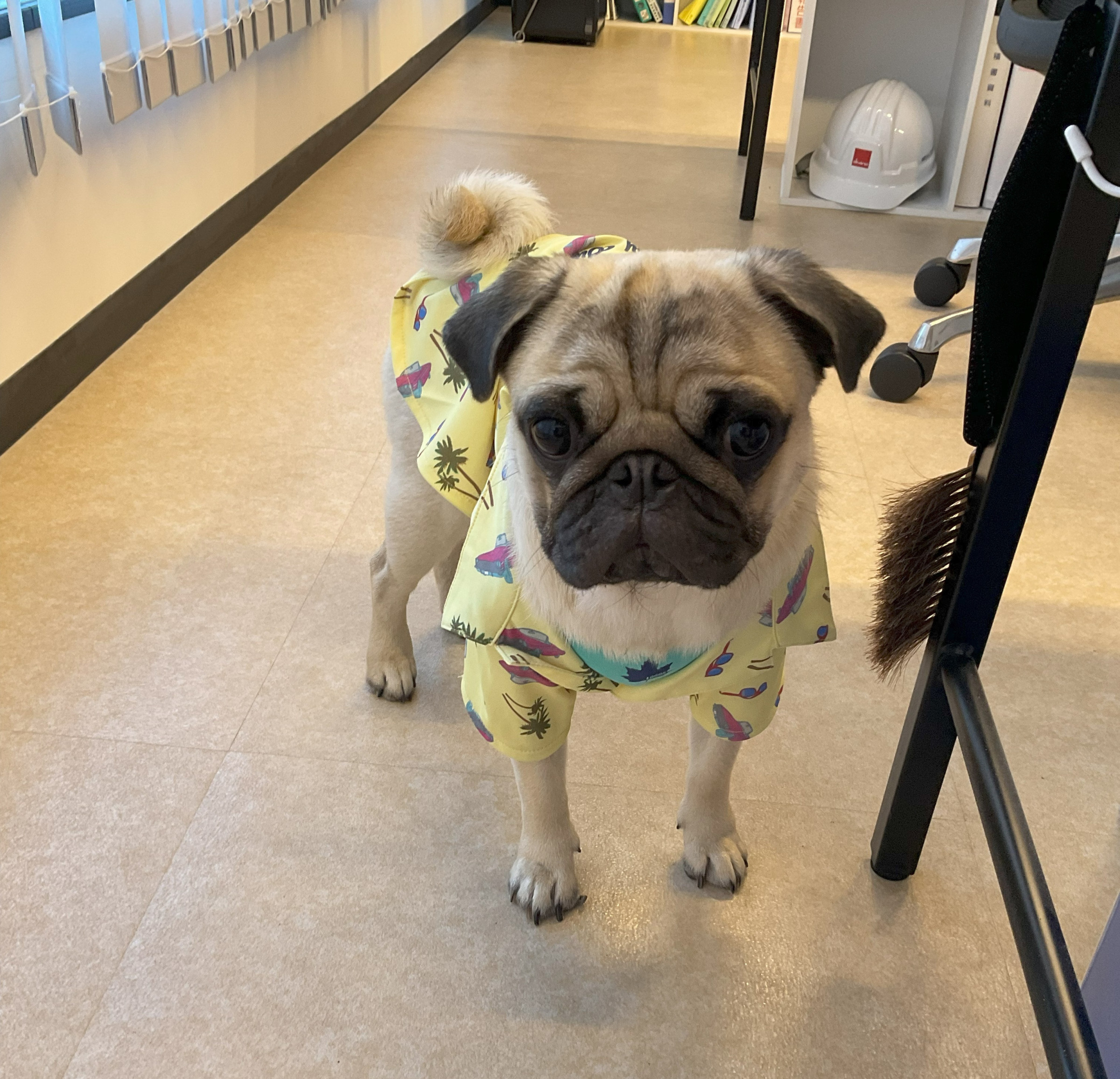 おやつ食べたい