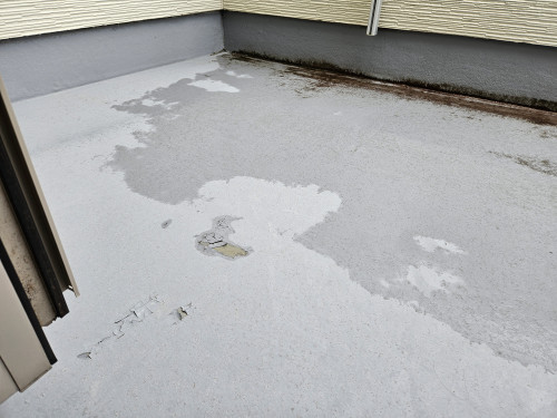 20240730_082555-1.jpg