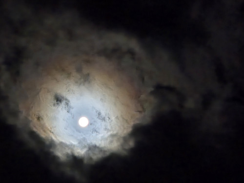20251006_205525.jpg