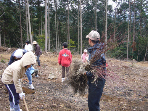 P1000378.JPG