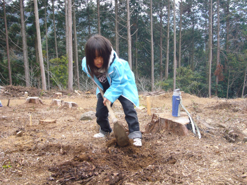 P1000380.JPG