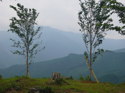P1010539.JPG