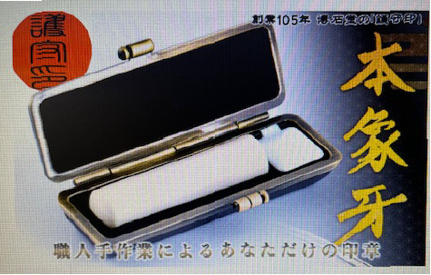 本象牙.JPG