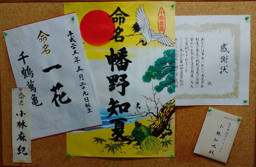 命名紙・賞状　揮毫