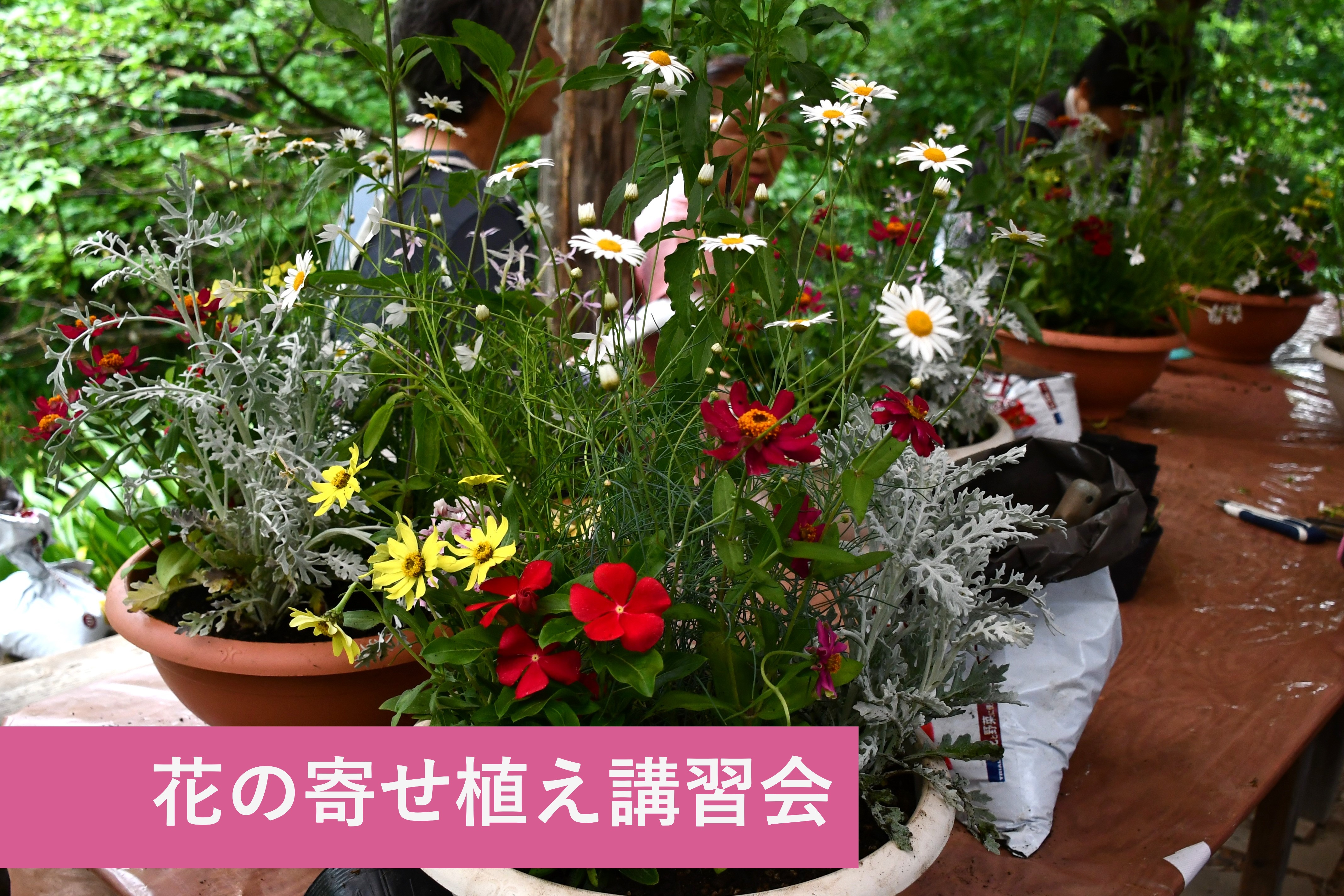 令和７年度　寄せ植え講習会を開催