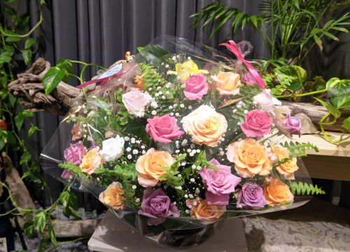 DSC_2222~2.JPG