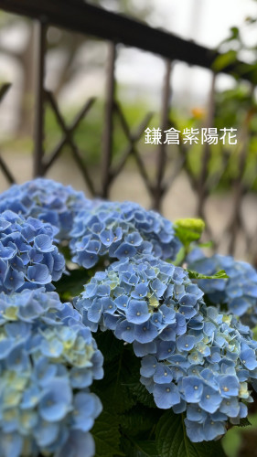 63AF6D88-1896-482C-82E0-C9F5DEE6B70C.JPG