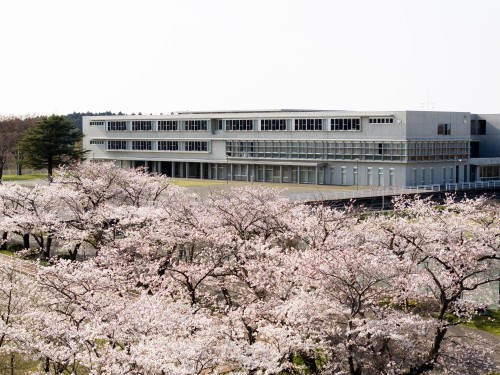 DJI_20240414153027_0016_D仁賀保中.jpg