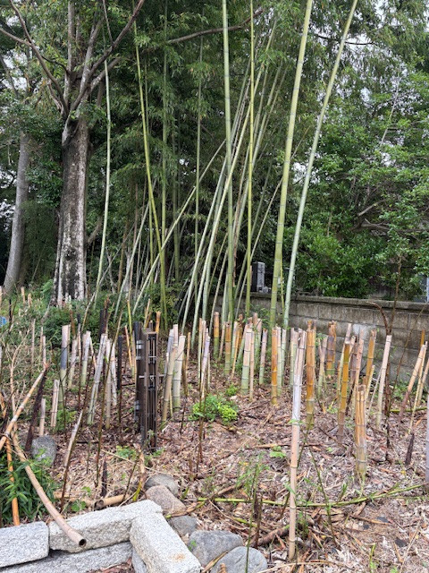 屋外型納骨堂 建立のお知らせ