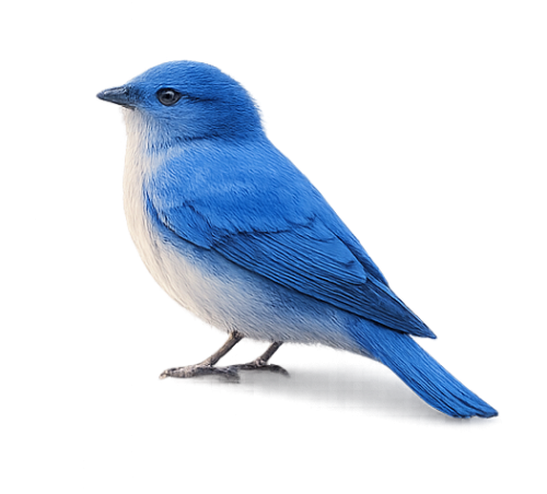 葉のイラスト