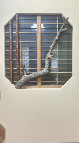 玄関正面の壁