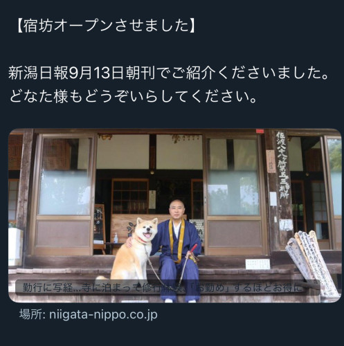 掲載記事