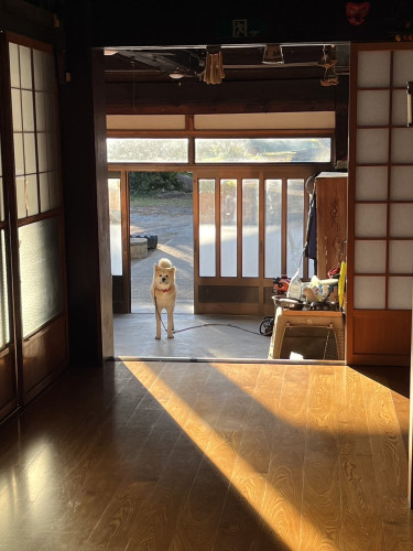 散歩道の風景