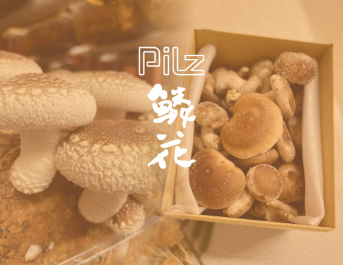 [B]-Pilz-テーブル.jpg