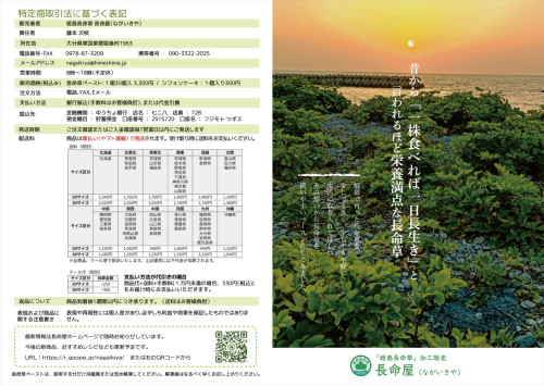 flyer_B5_二折_縦_表用.jpg