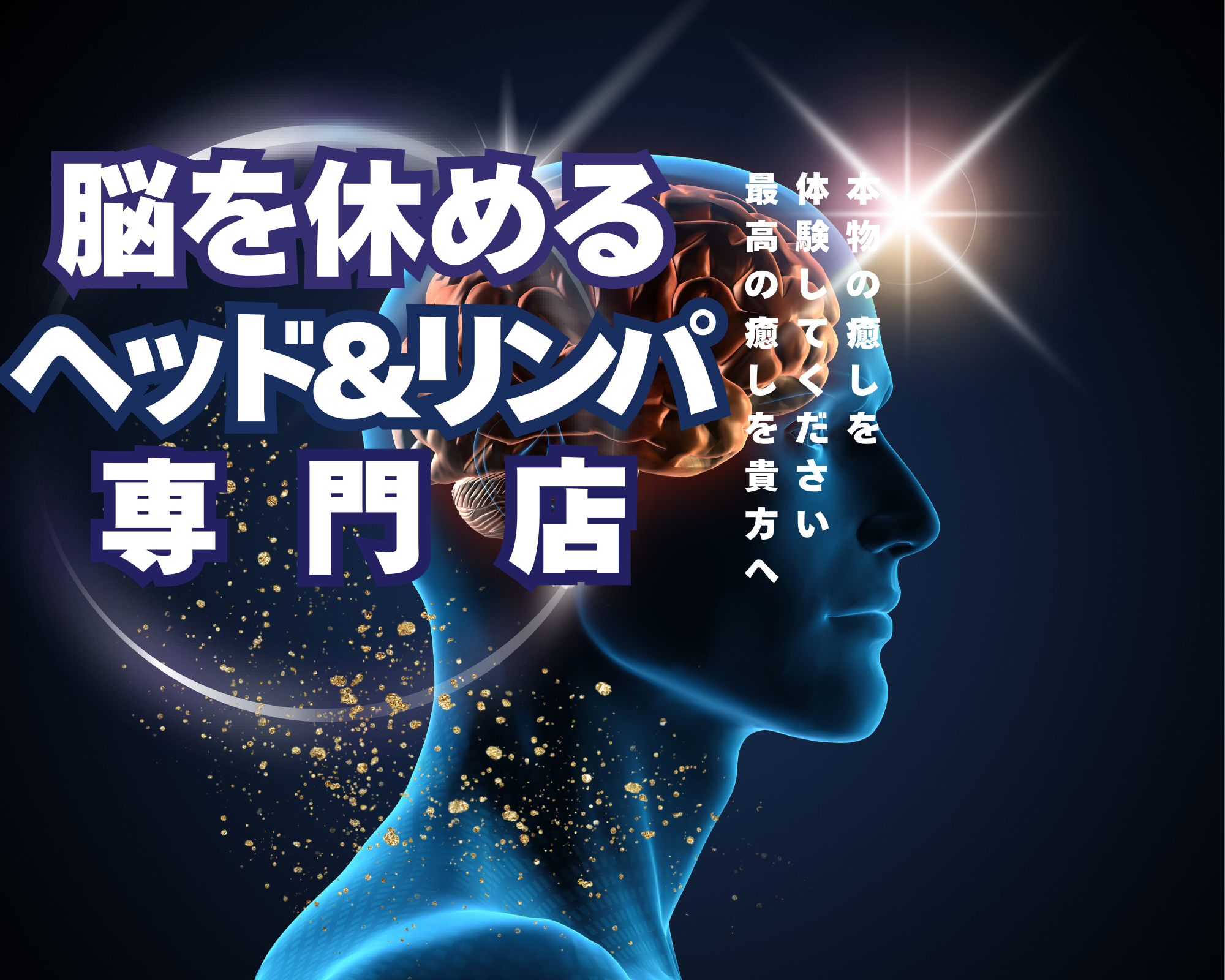 段落テキスト - 2024-10-26T203407.391.png