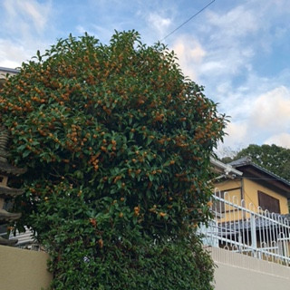 image1 (1).jpeg