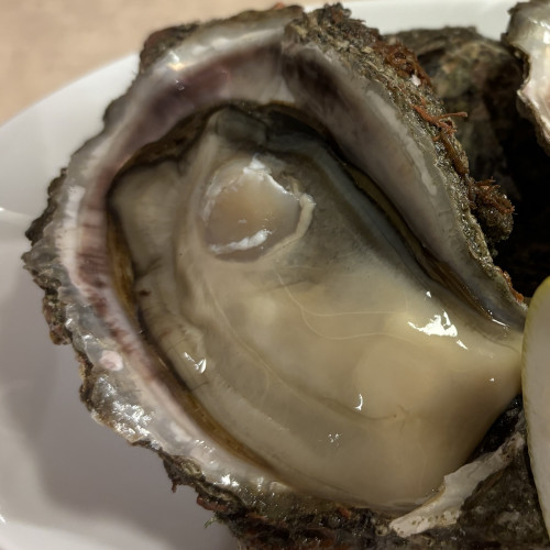 食べ応えがあります
