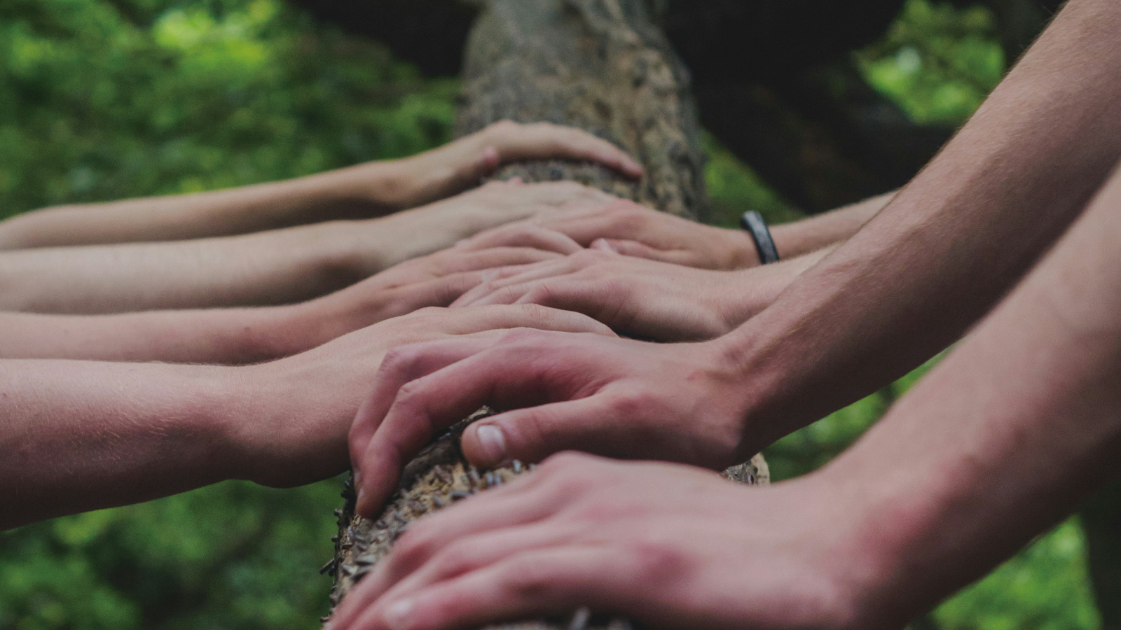 人と自然が関わり合い、時間をかけて育まれる関係性