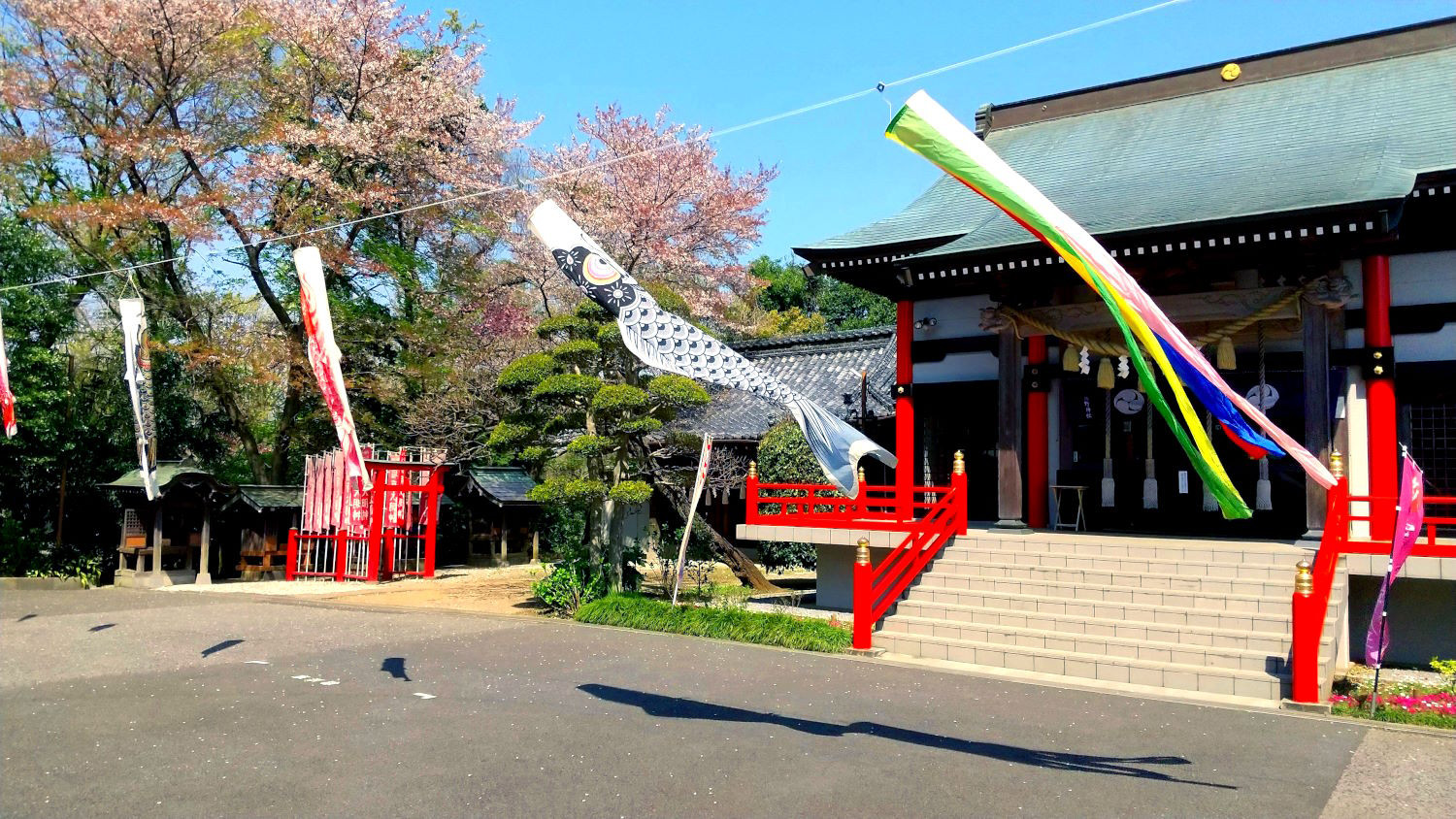 鯉のぼり泳ぐ境内