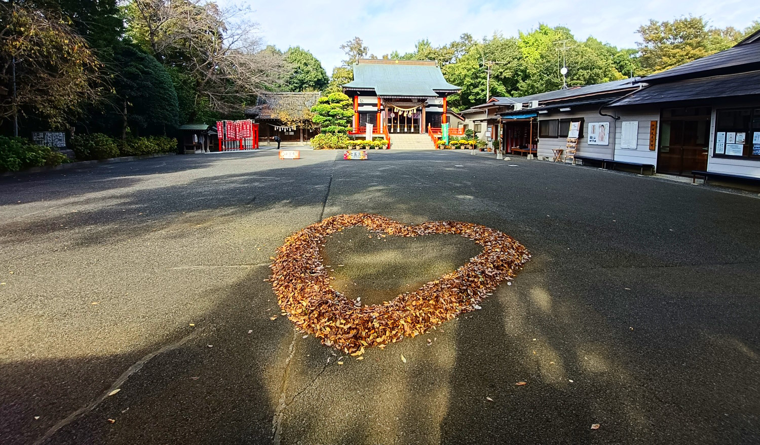 「猪の目」 落ち葉作