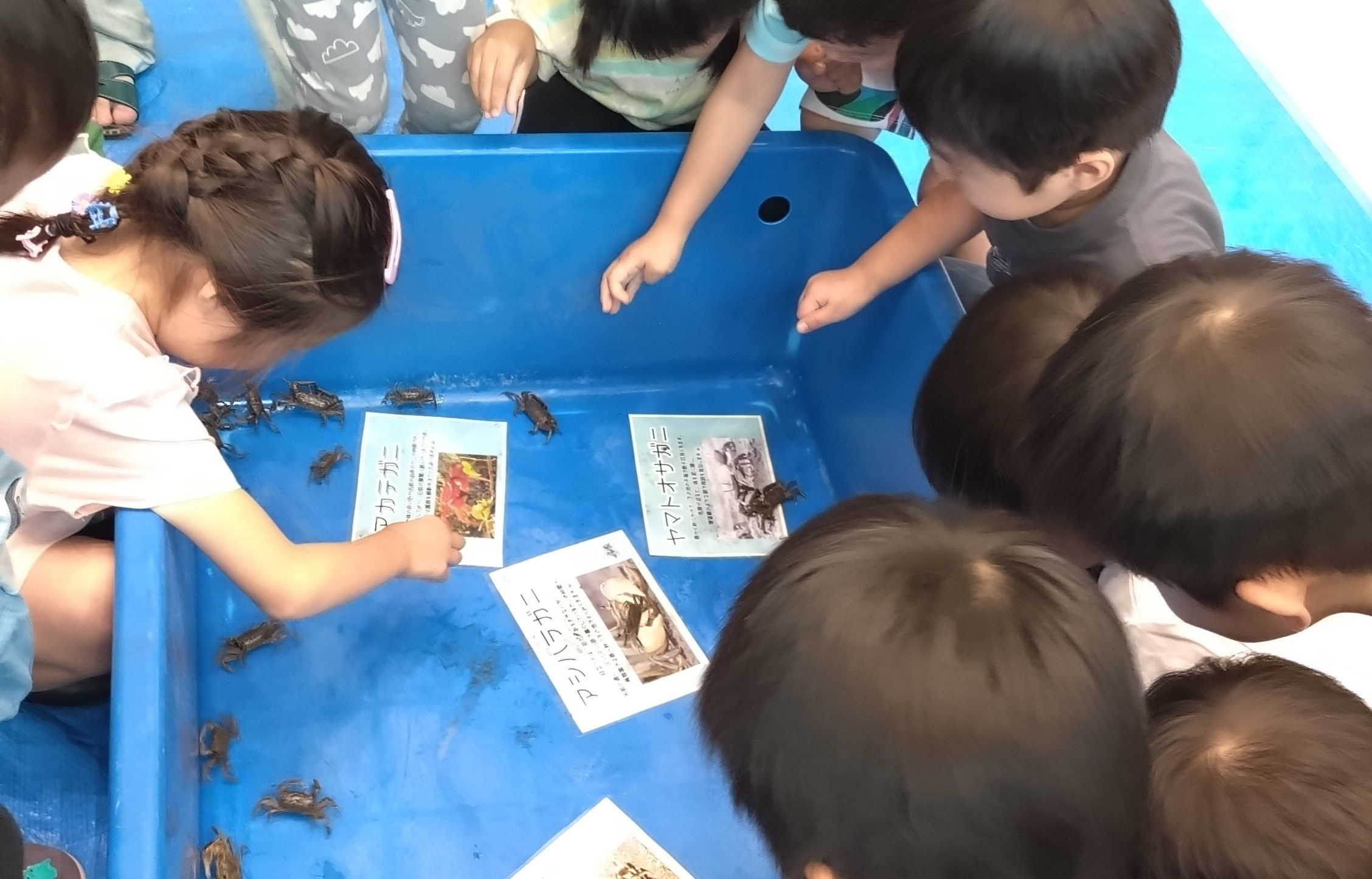 学びのSDGs　さわって知ろう！学ぼう！小さな生き物たちのビオトープの世界
