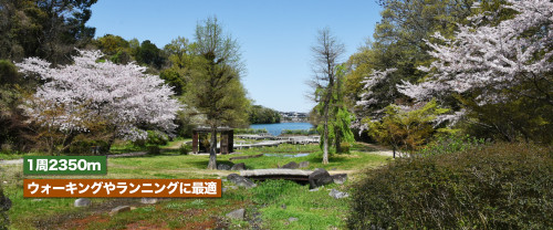 mv1.jpg