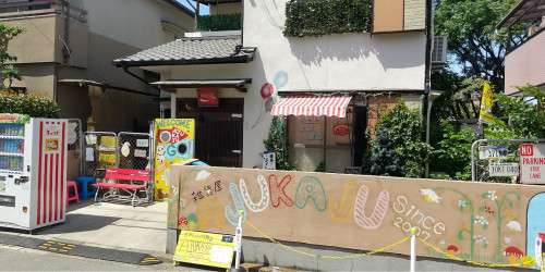 HORIZON_0001_BURST20250822131346834_COVER (1).JPG