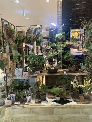 IMG_2713 - 服部高明.jpeg