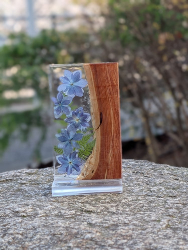 inbound6575175608667704253 - 鈴木みゆき.jpg