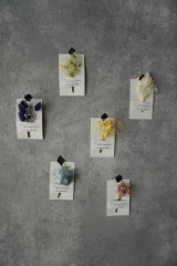 IMG_5306 - 小林高代.jpeg