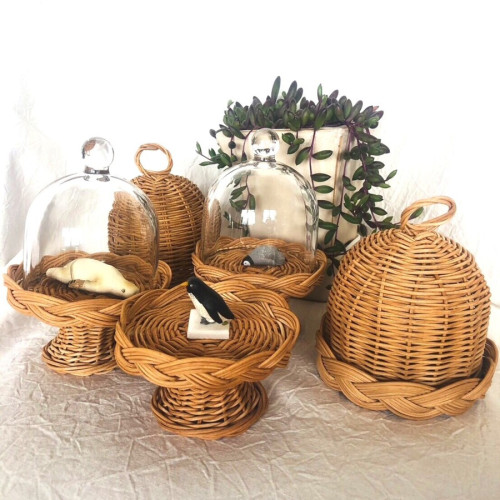 IMG_8790 - 疋田真喜子.jpeg