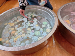 IMG_4044 - ちょこちゃん.jpeg