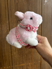 IMG_1657 - Yukiyo Funato.jpeg