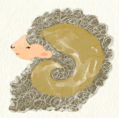 98343262-1510-4A89-9304-BDBD3DCCEB3C_Original - okaki takada.jpeg