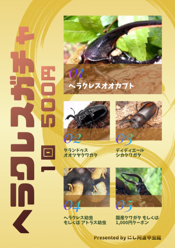 S__151748615.jpg