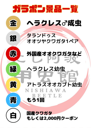S__151748614.jpg